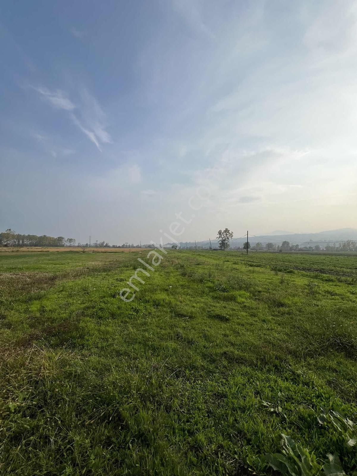 Dereköy Merkez Ana Yol İle Deniz Arası 316m2 Villa İmarlı Arsa - Görsel 8