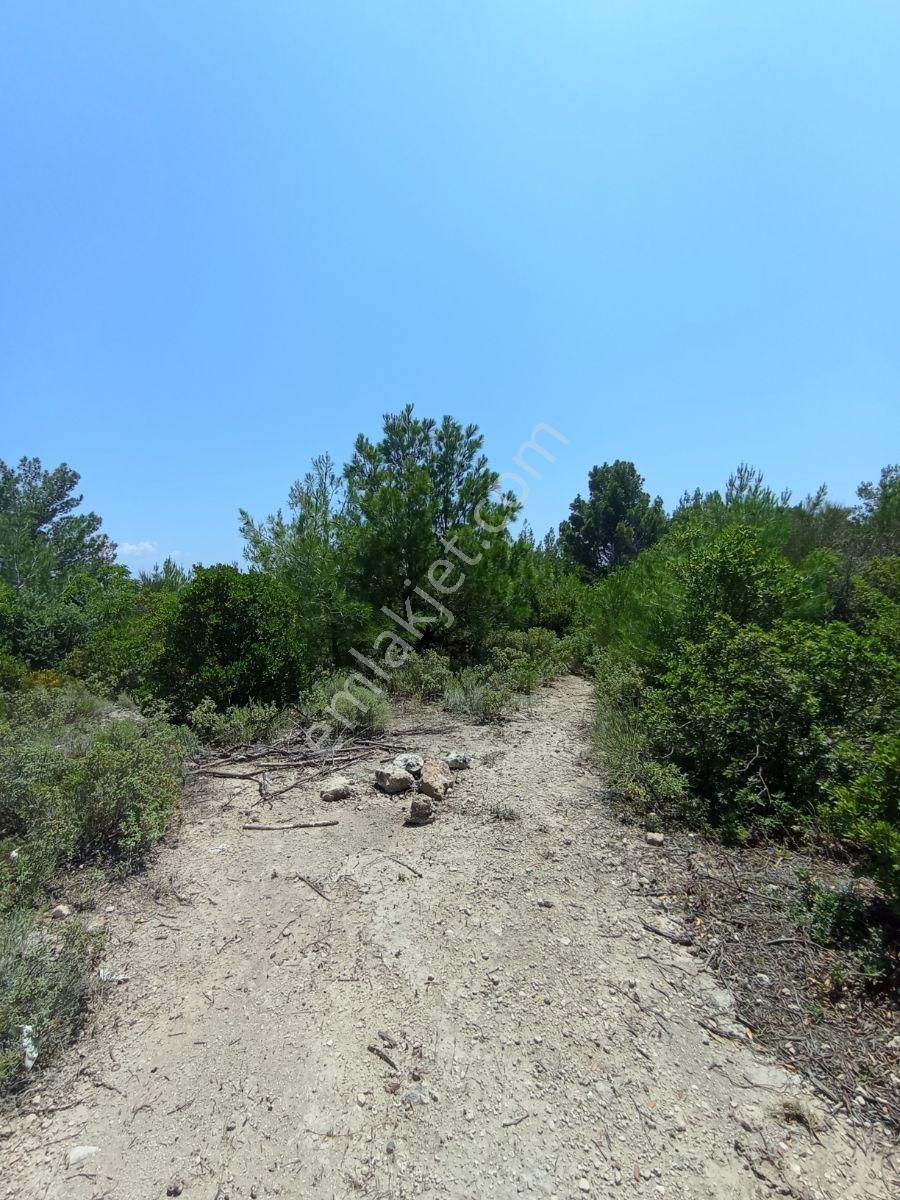 İzmir Karaburun Anbarseki'de 193 M2 Hisseli Tarla - Görsel 4