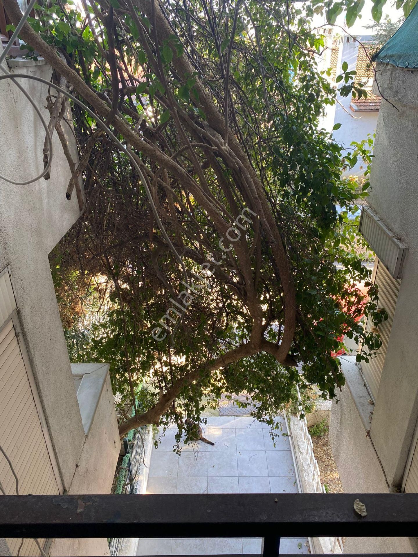 Emlak Dünyası Tuzla Cami Mh 4+2 Villa Tipi Satılık - Görsel 12