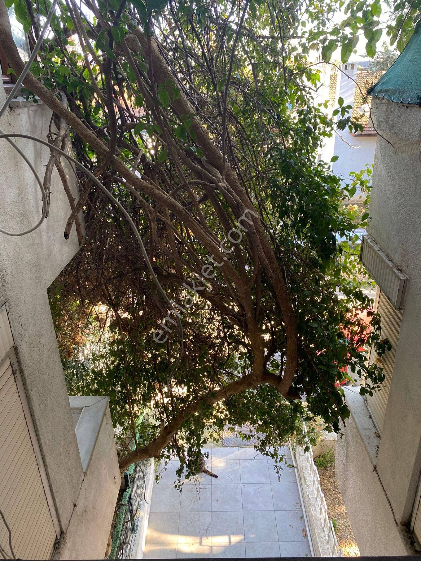 Emlak Dünyası Tuzla Cami Mh 4+2 Villa Tipi Satılık - Görsel 13