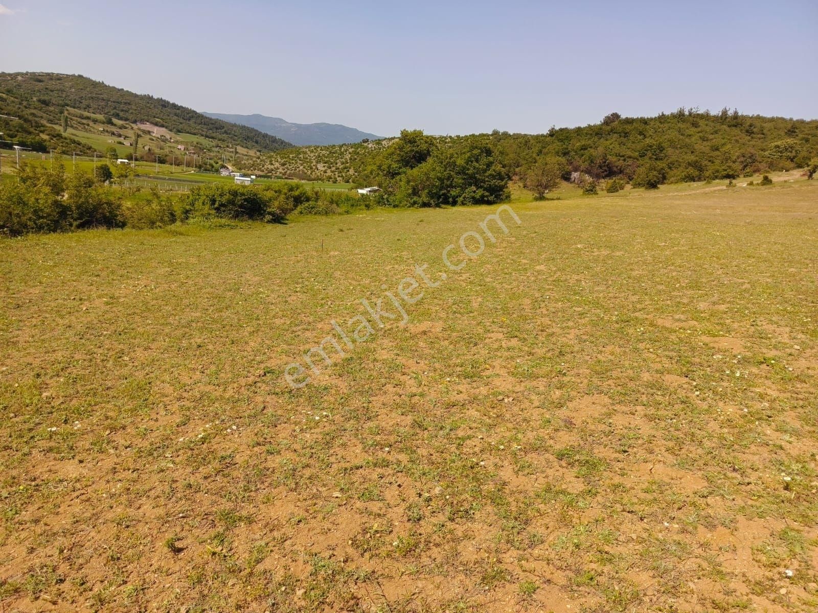 Yenişehir Marmaracık'ta Satılık 499 M2 Hobi Bahçesi - Görsel 13