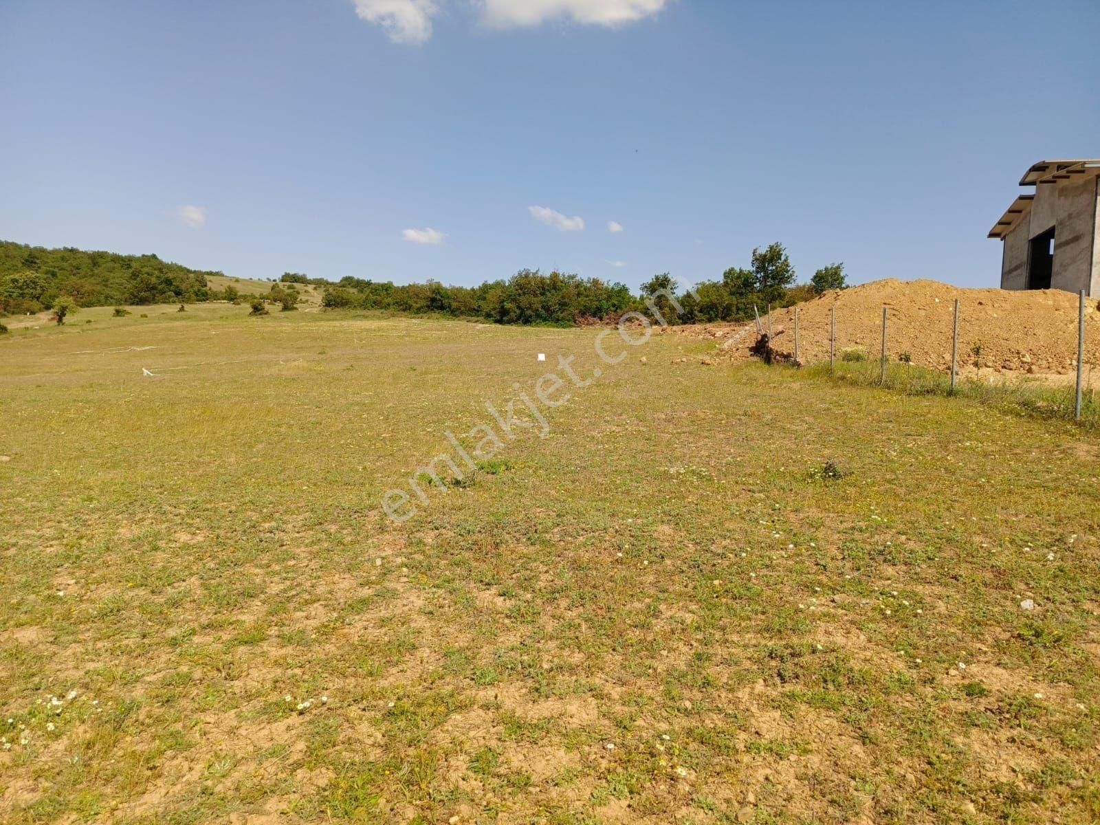 Yenişehir Marmaracık'ta Satılık 499 M2 Hobi Bahçesi - Görsel 5