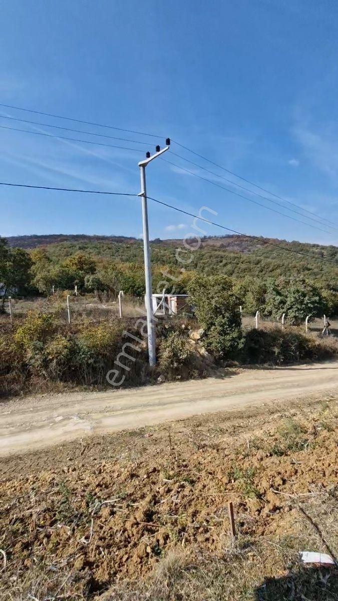 Yenişehir Marmaracık'ta Satılık 499 M2 Hobi Bahçesi - Görsel 22