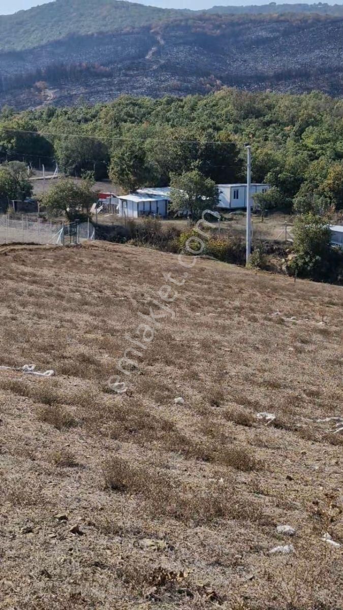 Yenişehir Marmaracık'ta Satılık 499 M2 Hobi Bahçesi - Görsel 7