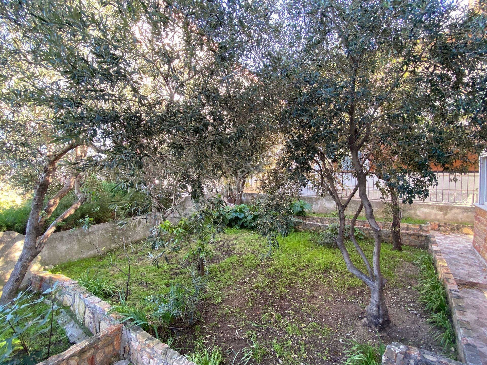 Ayvalık Armutçuk Sahilinde Denize Sıfır Eşsiz Manzaralı 3+1 Dubleks - Görsel 9