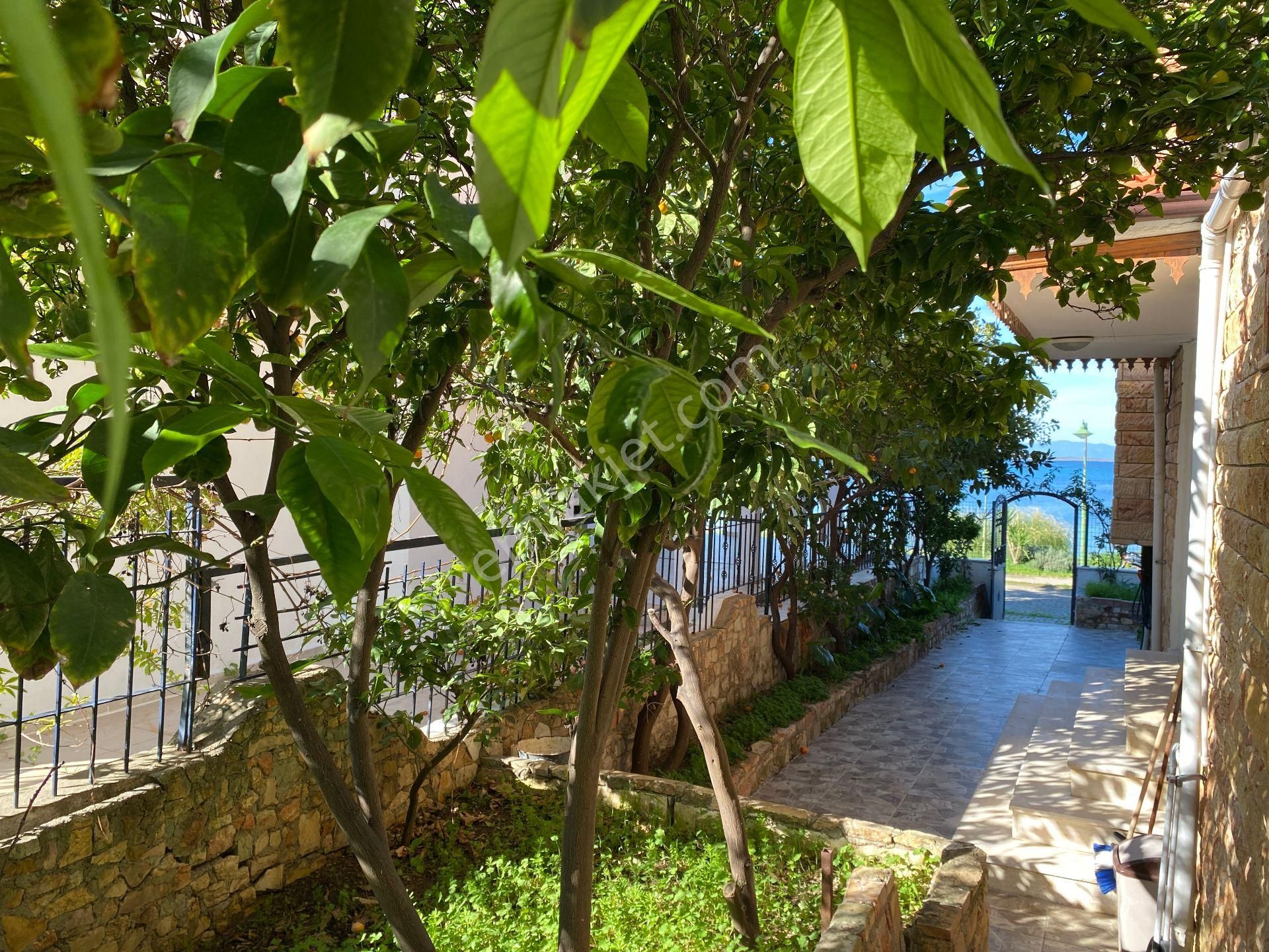 Ayvalık Armutçuk Sahilinde Denize Sıfır Eşsiz Manzaralı 3+1 Dubleks - Görsel 13