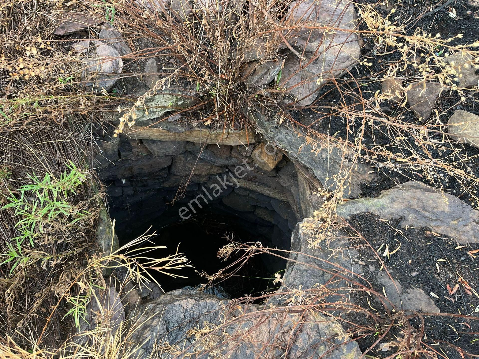 Bodrum’a Yakın, Ege’de Dev Yatırım! 37 Dönüm Zeytinli Tarla - Görsel 5