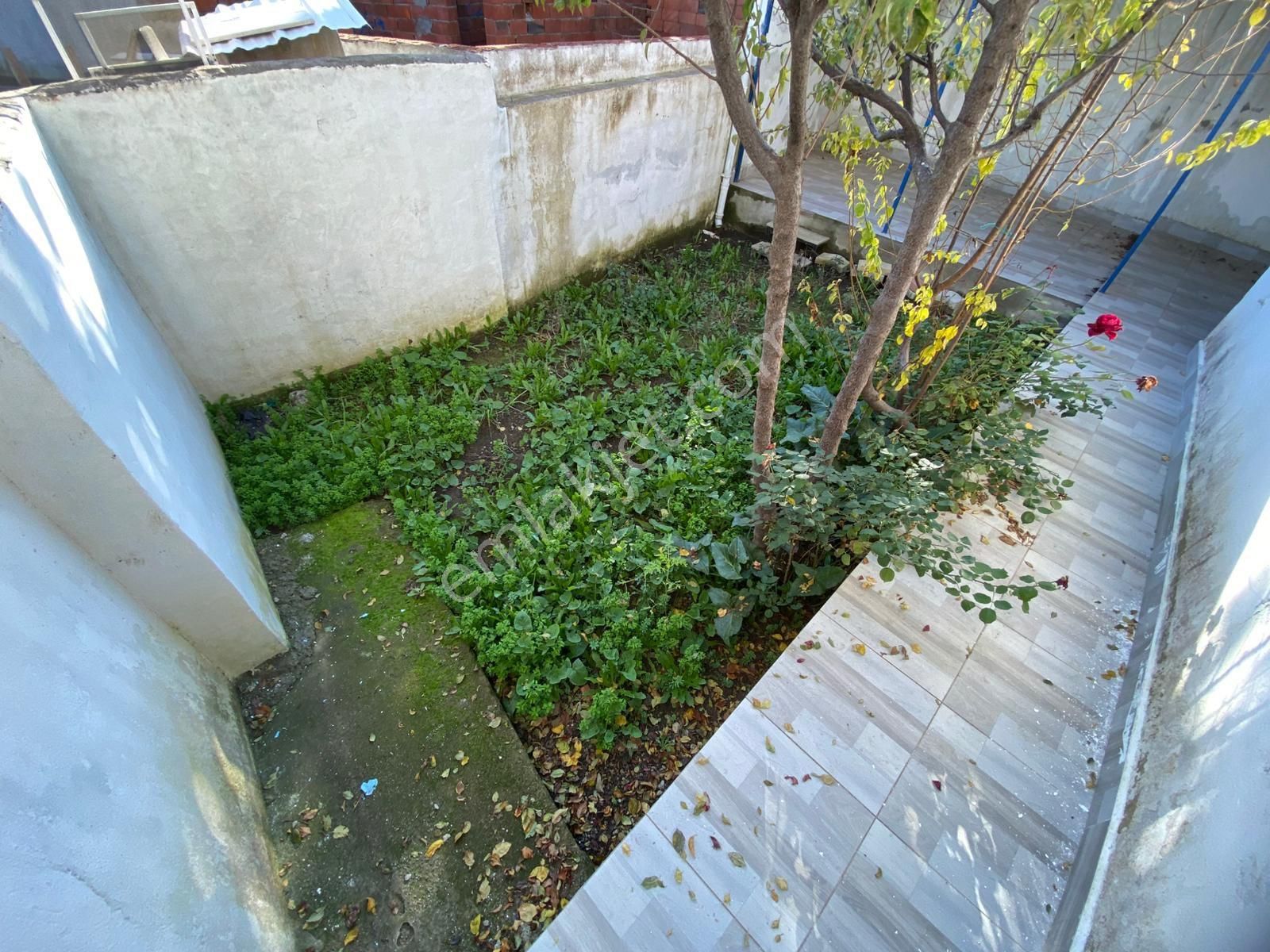 ꔪyalçın'dan ▀▄zeytinlide Geniş Bahçeli Müstakil Ev 4+0▀▄ - Görsel 2