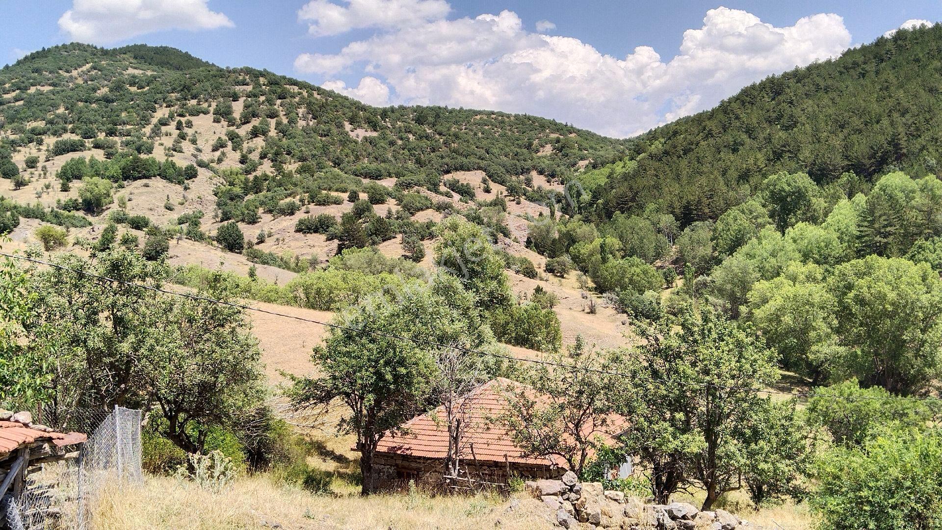 Kızılcahamam Akçakese Köyünde Satılık Tarla - Görsel 4