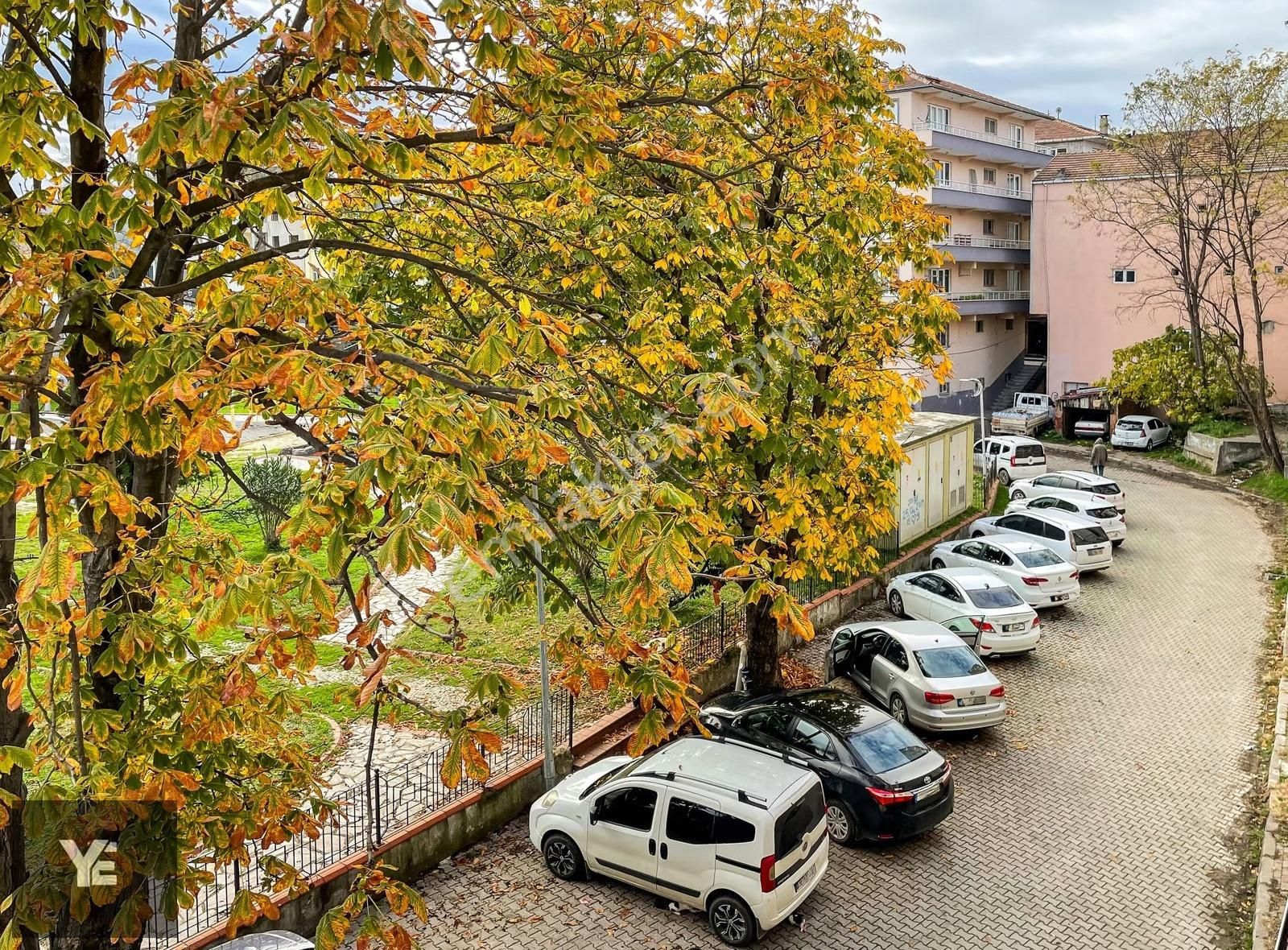 Samsun 19 Mayıs'ta Ana Cadde Üzerinde Kiralık Ofis / Dükkan - Görsel 2