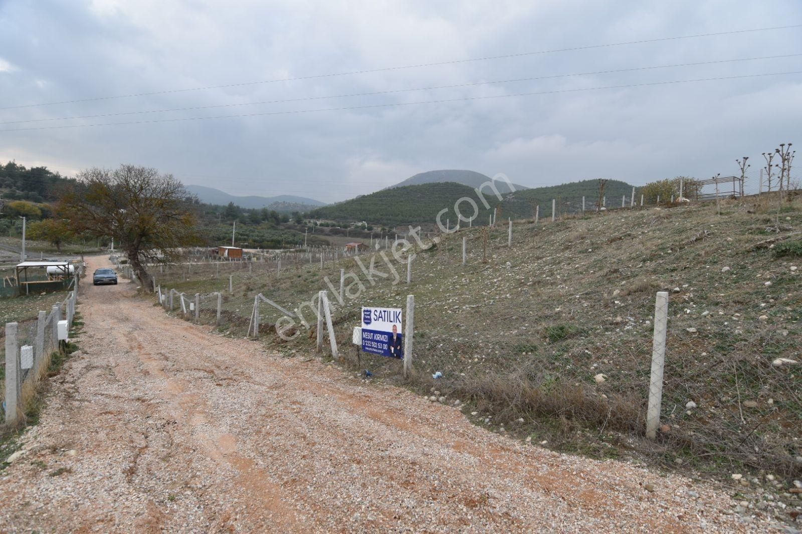 İzmir Menderes Bulgurca'da Satılık 300 M2 Hobi Bahçesi - Görsel 10