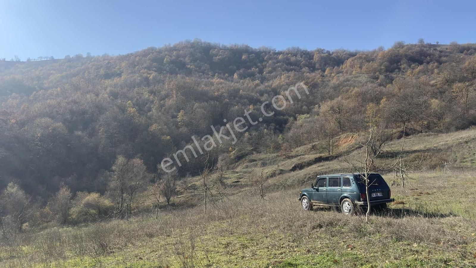 13dönüm Ceviz Bahçesi Tamamı Bu Fiyata İçerisinde Ev+su+yol - Görsel 31