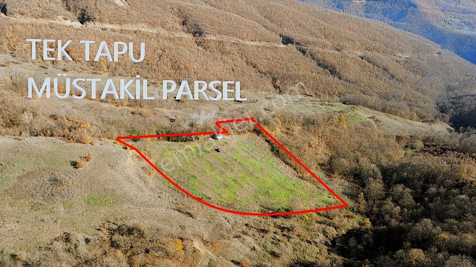 13dönüm Ceviz Bahçesi Tamamı Bu Fiyata İçerisinde Ev+su+yol - Görsel 27