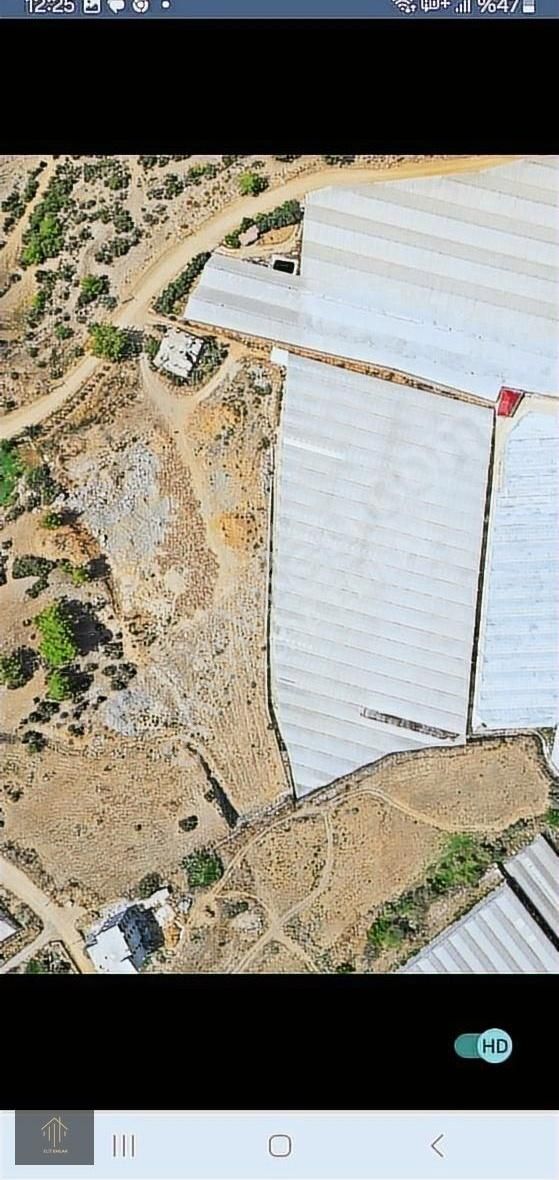 Gazipaşa Beyobası Köyünde 9000 M² Satılık Tarla - Görsel 4