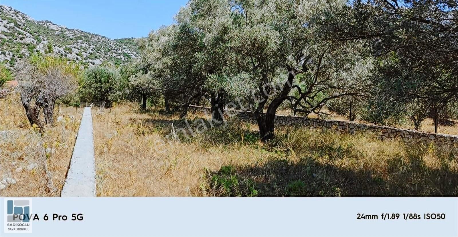 Marmaris Selimiyede 604 M² Bahçe Duvarlı Yatırımlık Tarla - Görsel 4
