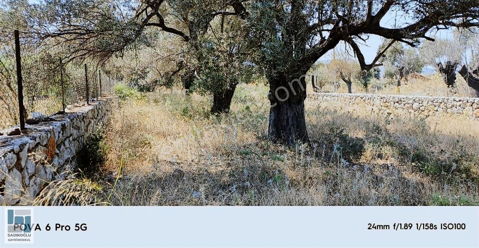 Marmaris Selimiyede 604 M² Bahçe Duvarlı Yatırımlık Tarla - Görsel 10