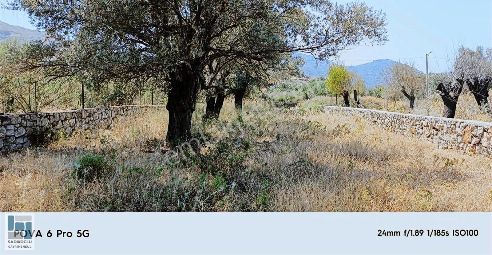 Marmaris Selimiyede 604 M² Bahçe Duvarlı Yatırımlık Tarla - Görsel 7