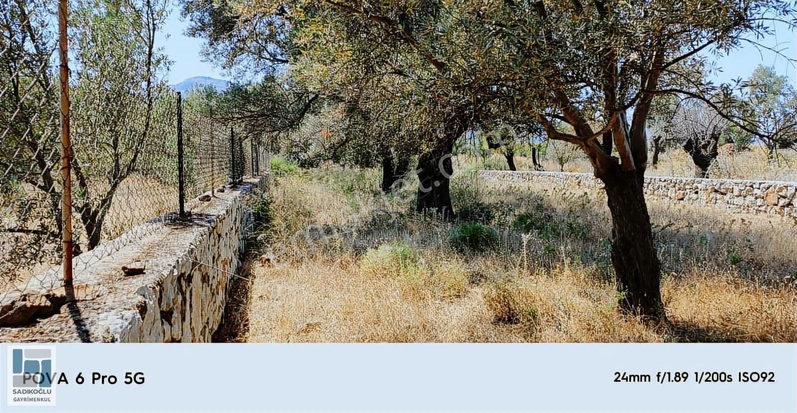 Marmaris Selimiyede 604 M² Bahçe Duvarlı Yatırımlık Tarla - Görsel 11