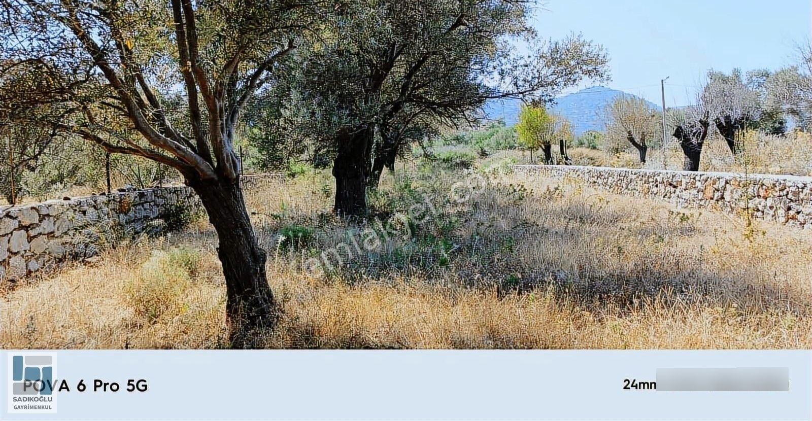 Marmaris Selimiyede 604 M² Bahçe Duvarlı Yatırımlık Tarla - Görsel 3