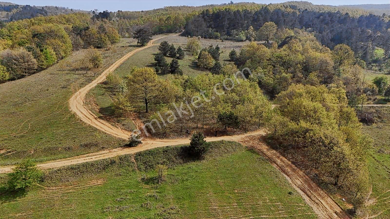 Dağyenice Göleti Manzaralı Satılık Arazi - Görsel 7