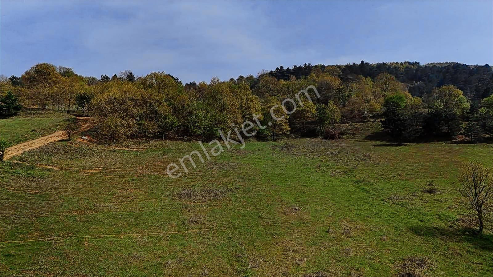 Dağyenice Göleti Manzaralı Satılık Arazi - Görsel 20