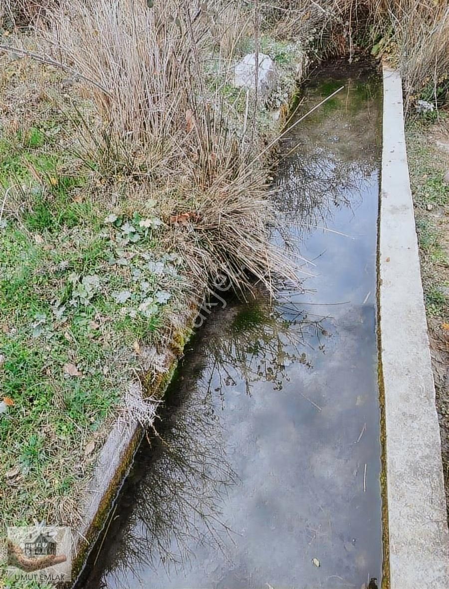 Ağlaşanda Çiftlik Arazisi - Görsel 7