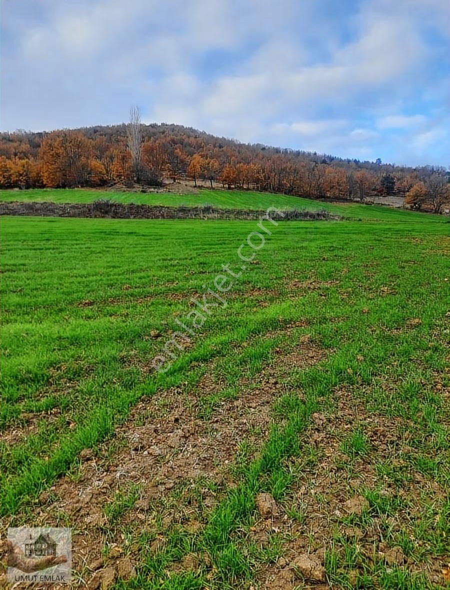 Ağlaşanda Çiftlik Arazisi - Görsel 10