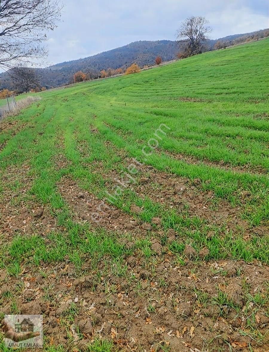 Ağlaşanda Çiftlik Arazisi - Görsel 5