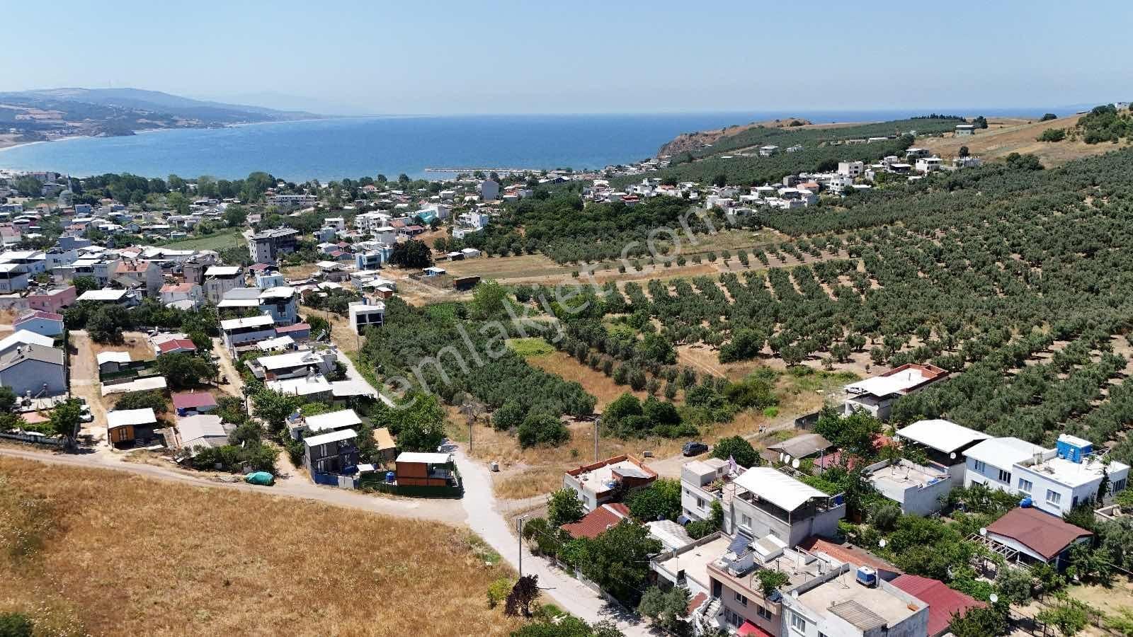 Mudanya Esence'de Satılık Arazi - Görsel 9