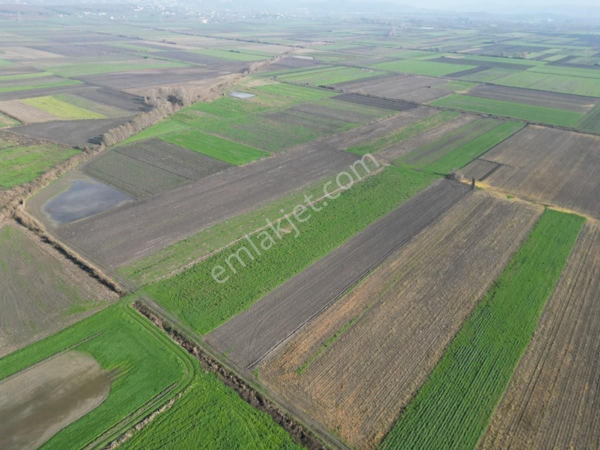 Serdivan Aralıkta Yatırım Değeri Yüksek 4.000 M² Satılık Tarla - Görsel 23