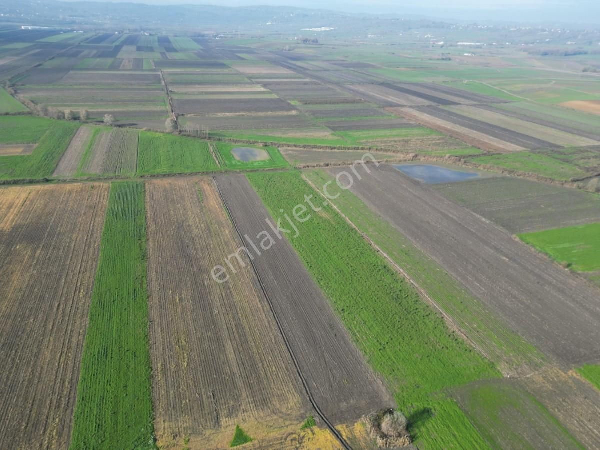 Serdivan Aralıkta Yatırım Değeri Yüksek 4.000 M² Satılık Tarla - Görsel 18