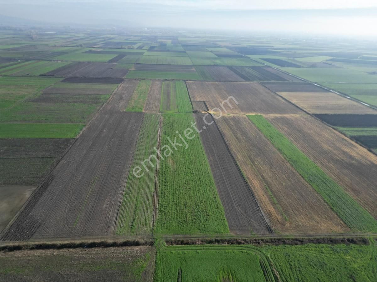 Serdivan Aralıkta Yatırım Değeri Yüksek 4.000 M² Satılık Tarla - Görsel 12