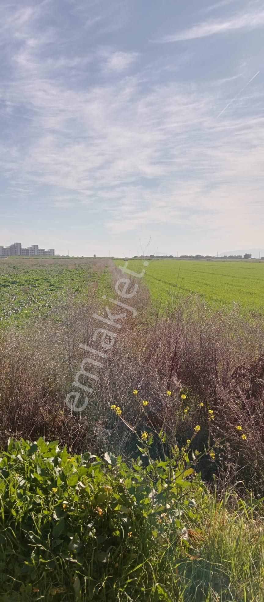 Ayrancılar Turkmenkoy‘de Mirastan Bölme Rızai Taksimleri Yapılmış Hisseli Tarla Satılıktır - Görsel 4