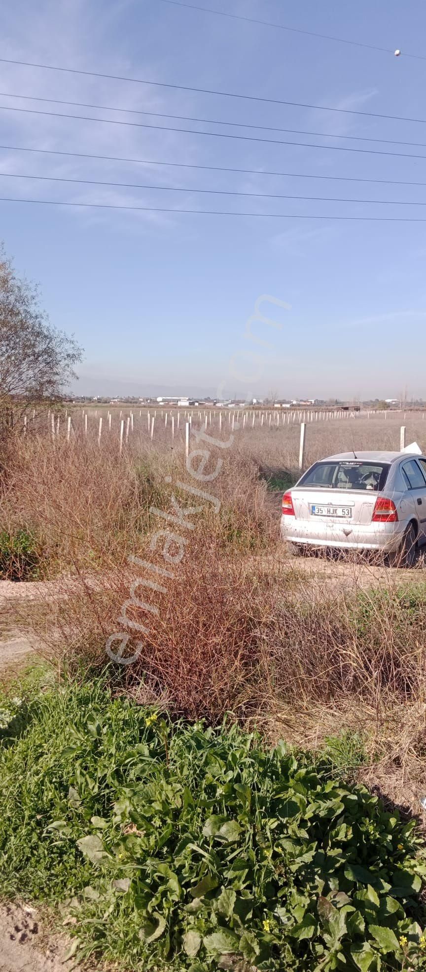 Ayrancılar Turkmenkoy‘de Mirastan Bölme Rızai Taksimleri Yapılmış Hisseli Tarla Satılıktır