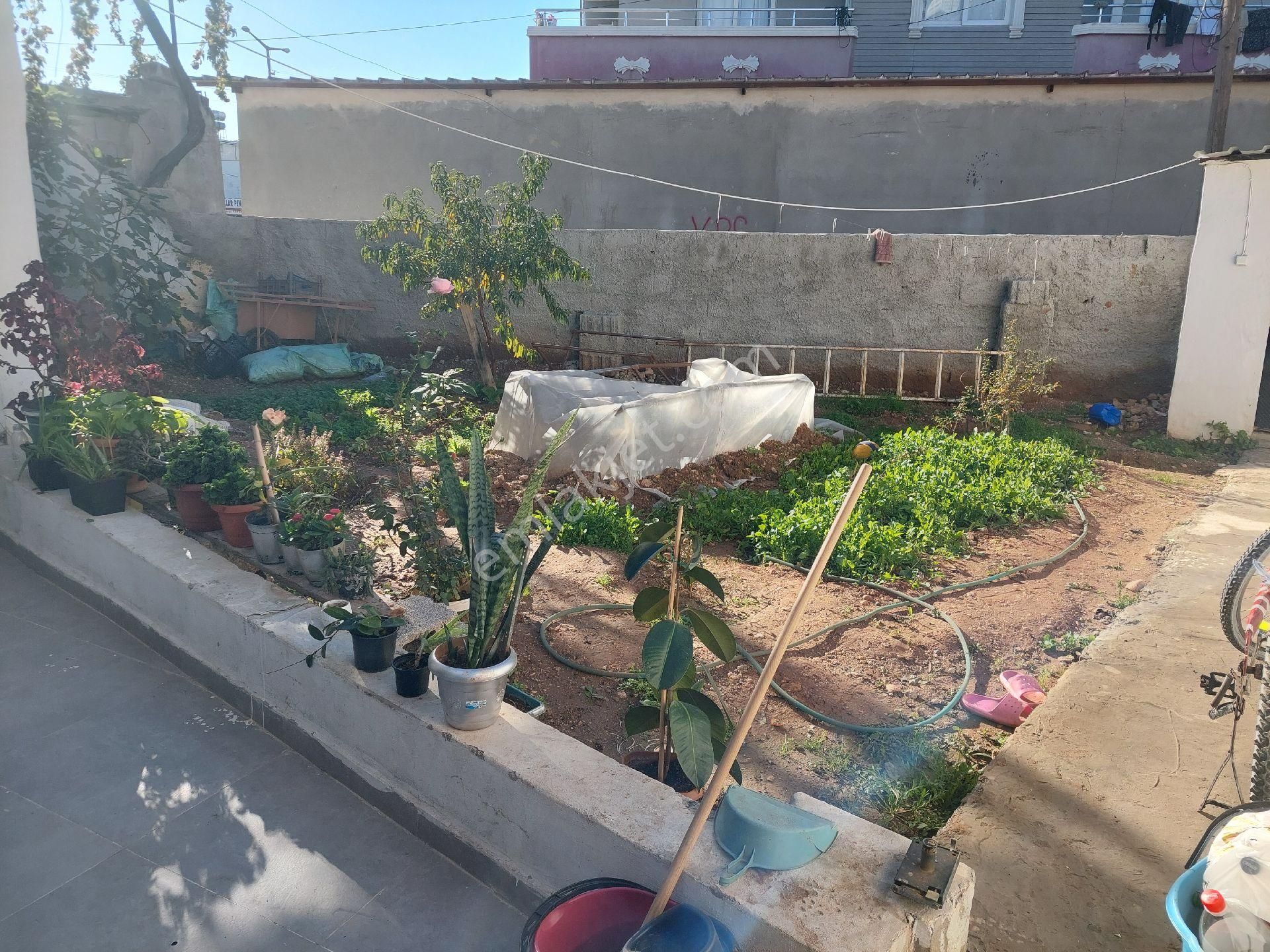 Acil Satılık 2 Katlı Müstakil Bahçeli Ev - Görsel 4