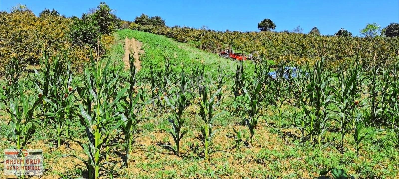 Kandırada Denize Yakın Uygun Fiyatıyla Kaçırılmaz Son Arsa !! - Görsel 8
