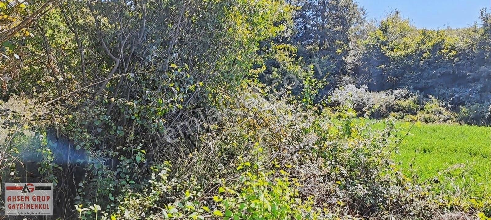 Kandırada Denize Yakın Uygun Fiyatıyla Kaçırılmaz Son Arsa !! - Görsel 16