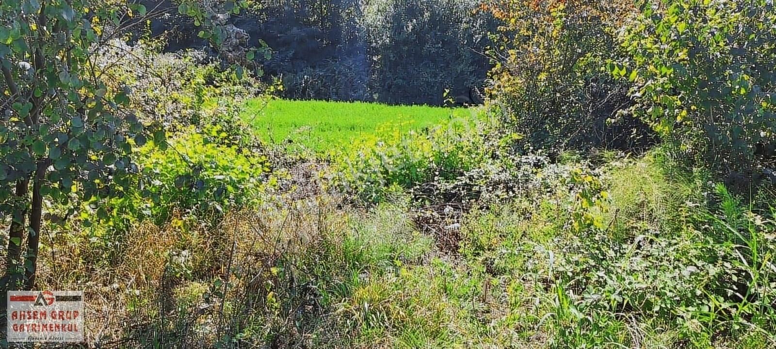 Kandırada Denize Yakın Uygun Fiyatıyla Kaçırılmaz Son Arsa !! - Görsel 3