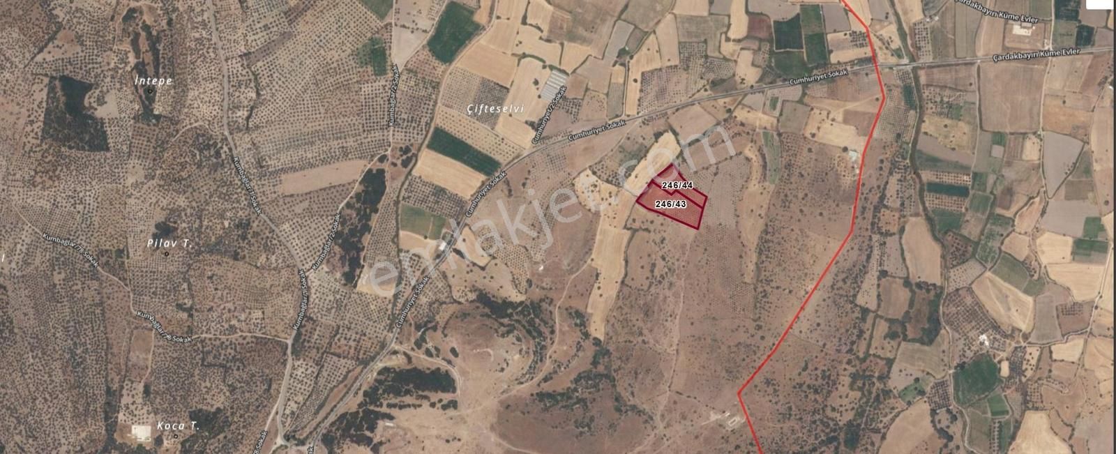 Eu Gayrimenkul'den 14800 Metrekare Tarla Nitelikli Zeytinlik - Görsel 2