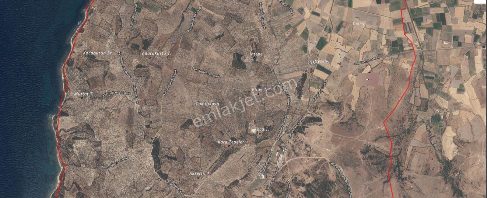 Eu Gayrimenkul'den 14800 Metrekare Tarla Nitelikli Zeytinlik - Görsel 6