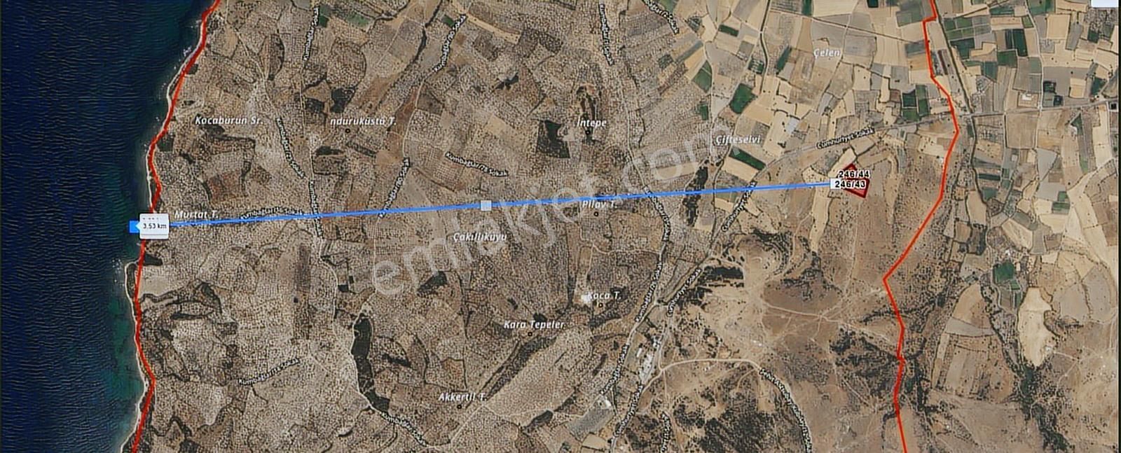 Eu Gayrimenkul'den 14800 Metrekare Tarla Nitelikli Zeytinlik - Görsel 4