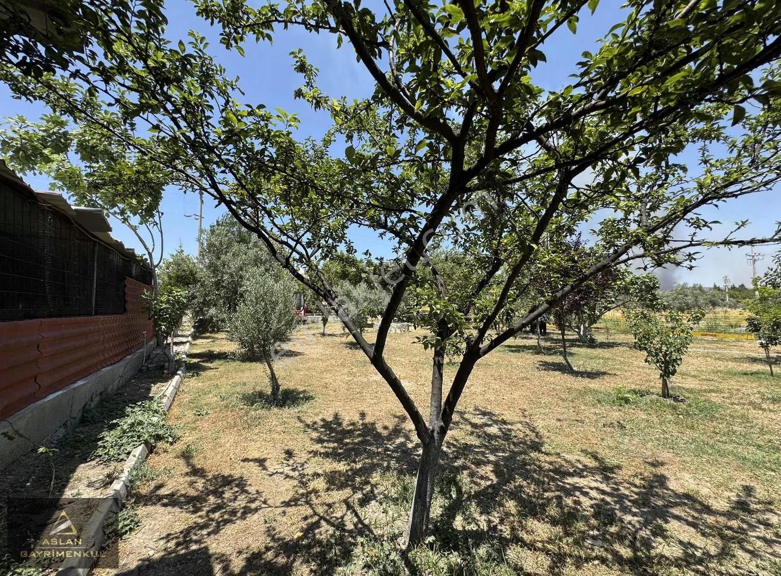 Foça Ilıpınar'da 1500m2 Bahçe İçerisinde Satılık Müstakil Ev - Görsel 14