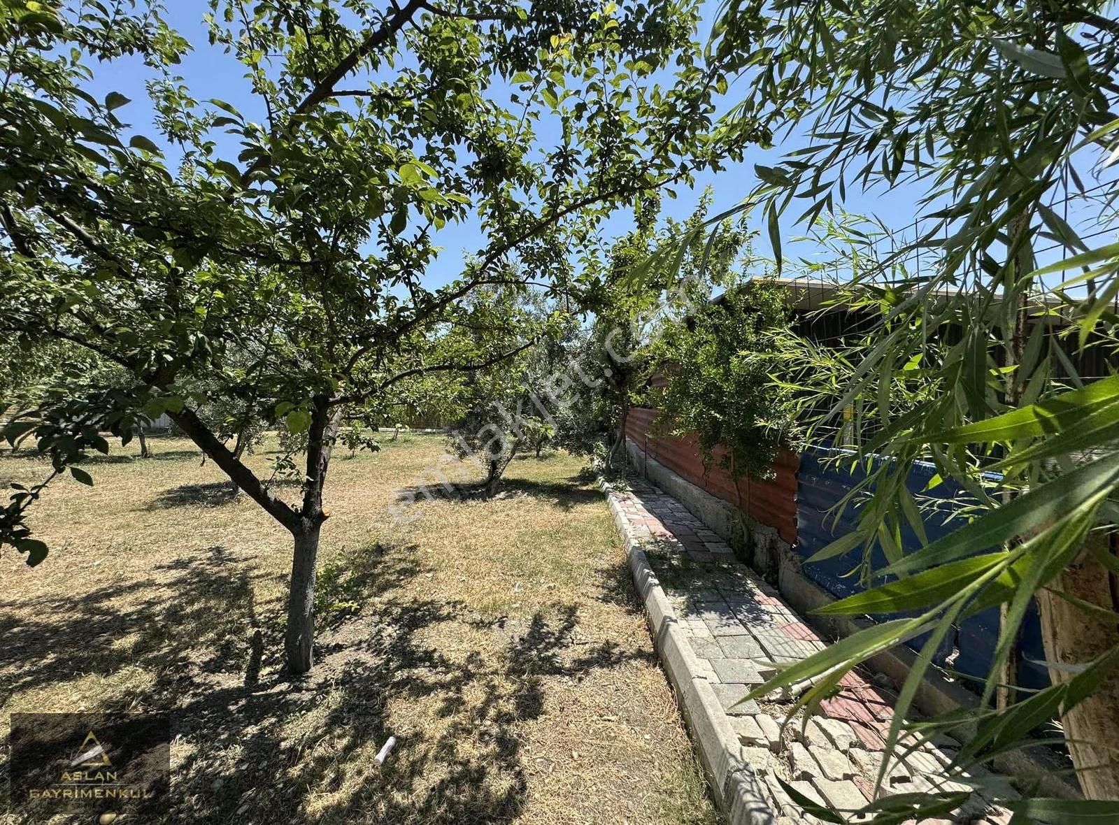 Foça Ilıpınar'da 1500m2 Bahçe İçerisinde Satılık Müstakil Ev - Görsel 28