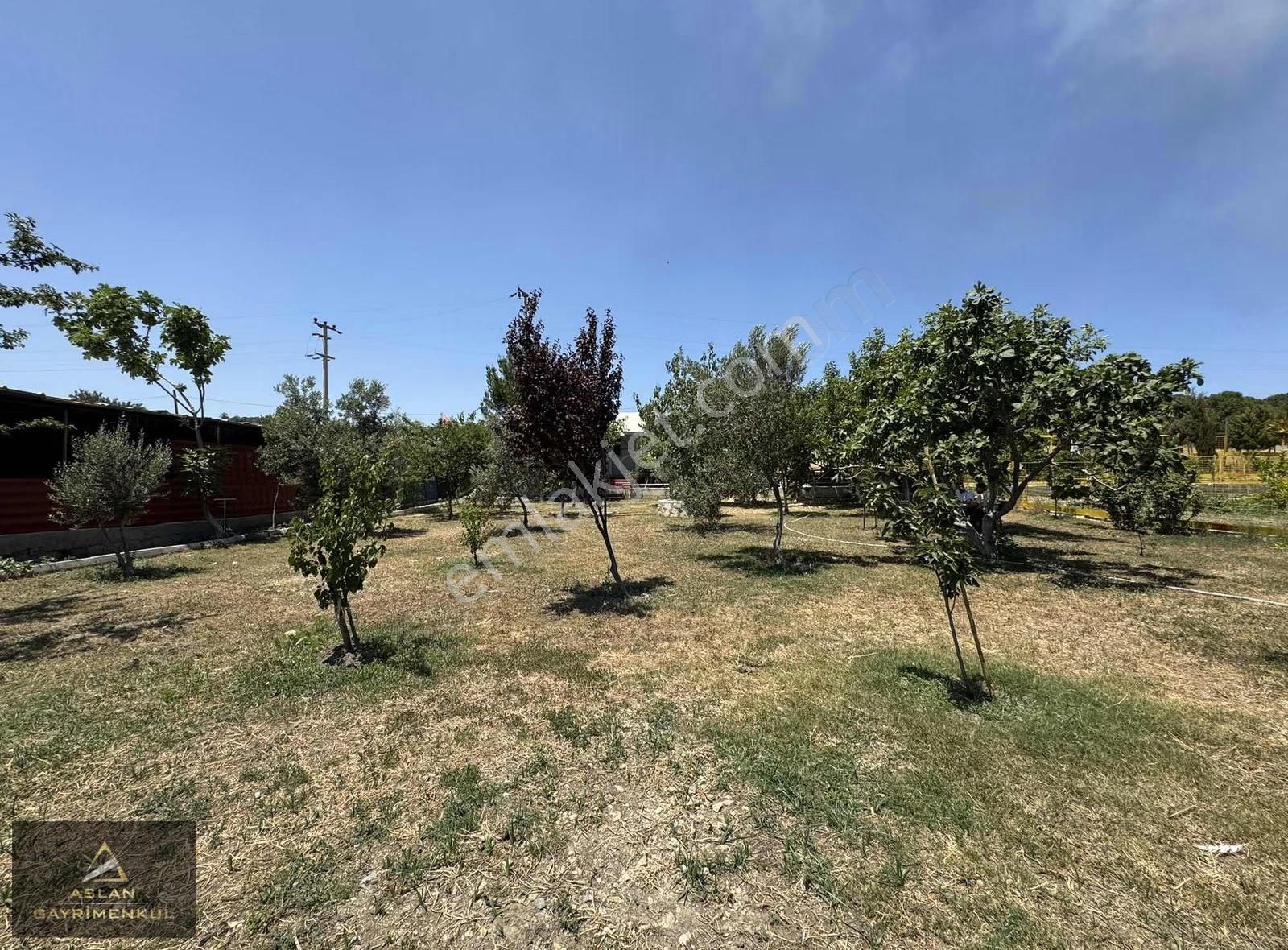 Foça Ilıpınar'da 1500m2 Bahçe İçerisinde Satılık Müstakil Ev - Görsel 13