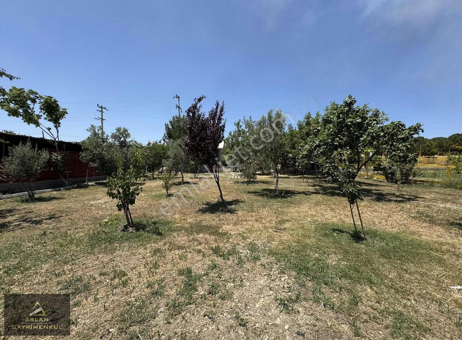 Foça Ilıpınar'da 1500m2 Bahçe İçerisinde Satılık Müstakil Ev - Görsel 25