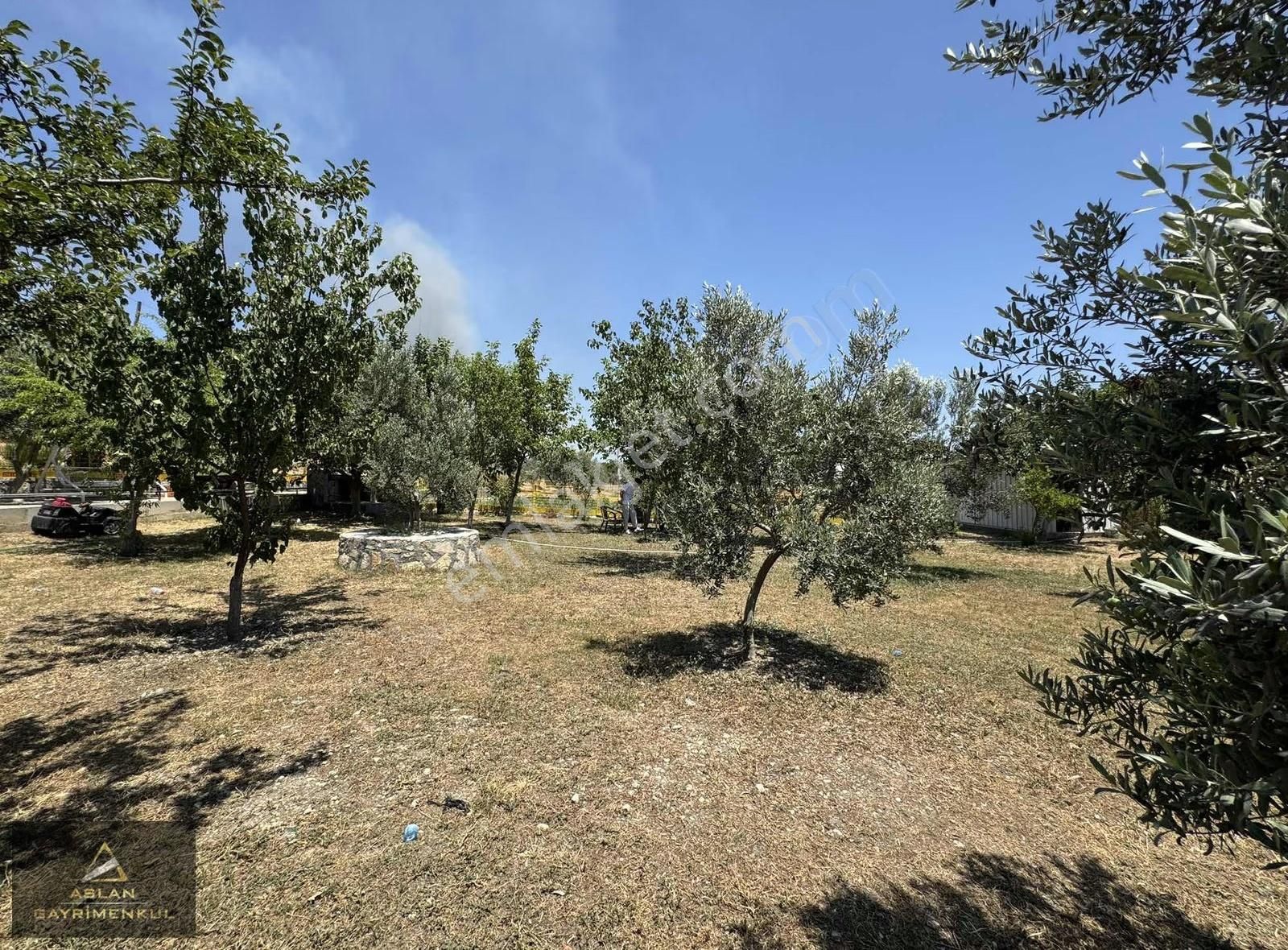 Foça Ilıpınar'da 1500m2 Bahçe İçerisinde Satılık Müstakil Ev - Görsel 2