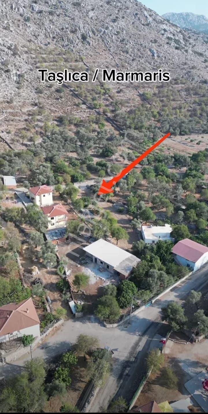 Müjgan Emlaktan Taşlıca Köy İçinde Yola Cepheli Tarla - Görsel 3