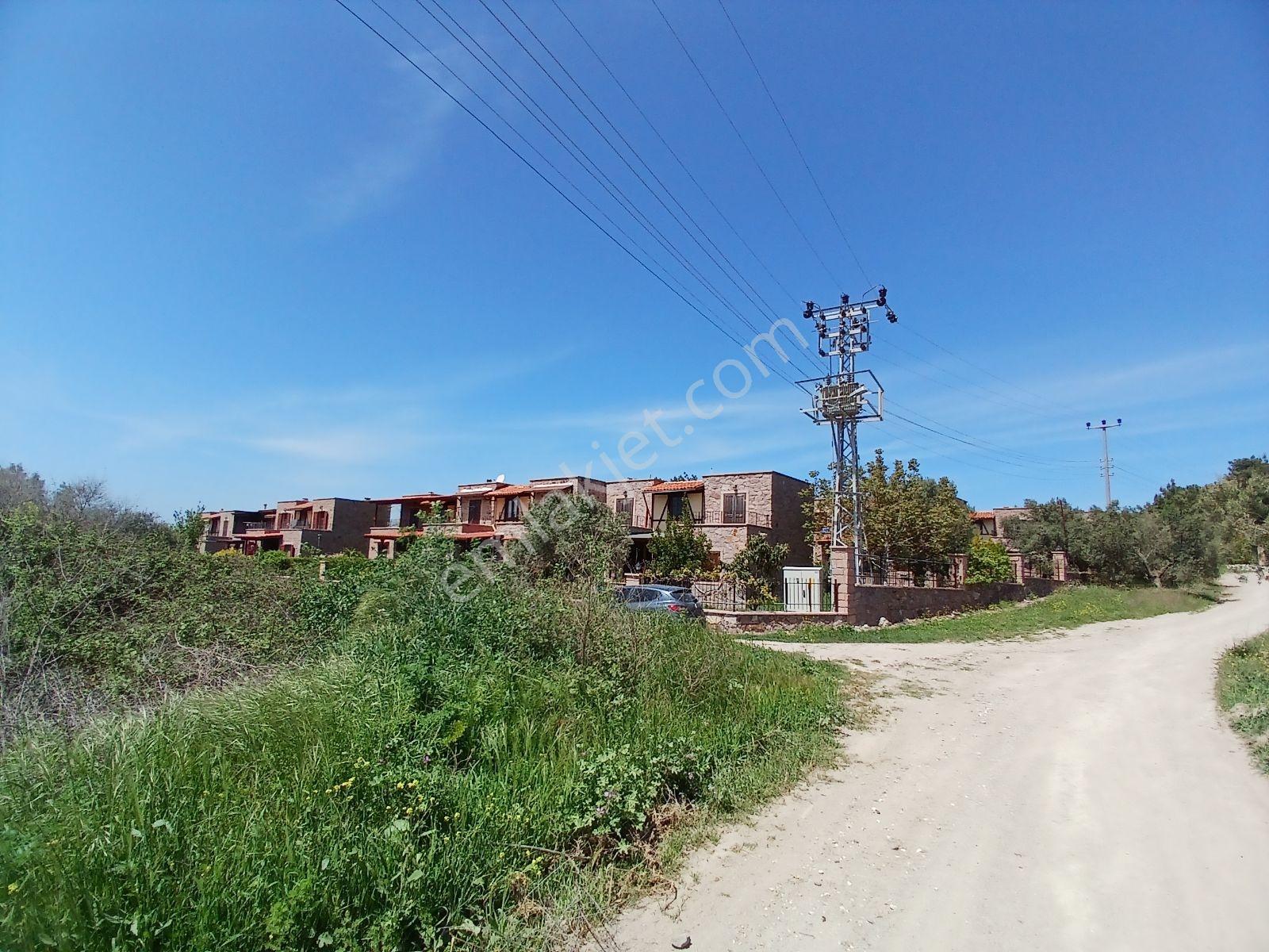 Eu Gayrimenkul'den Villaların Dibinde 6171 Metrekare Zeytinlik - Görsel 21