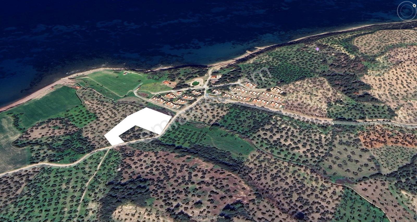 Eu Gayrimenkul'den Villaların Dibinde 6171 Metrekare Zeytinlik - Görsel 9