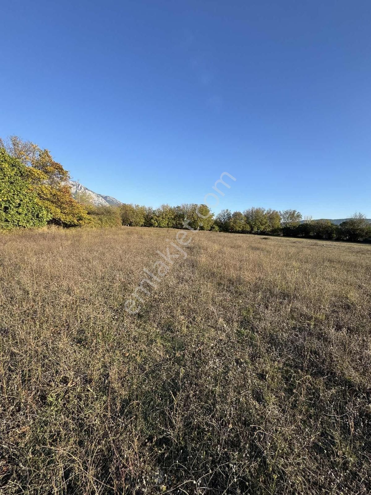 Muğla Menteşe Düğerek Secenin En Güzel Yolunda 3.714 M2 Satılık - Görsel 10